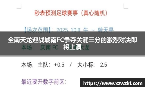 全南天龙迎战城南FC争夺关键三分的激烈对决即将上演